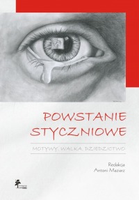Powstanie styczniowe Motywy. Walka. Dziedzictwo